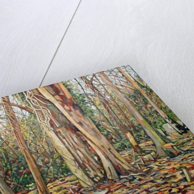 Winter Trunk, 2010 by Noel Paine