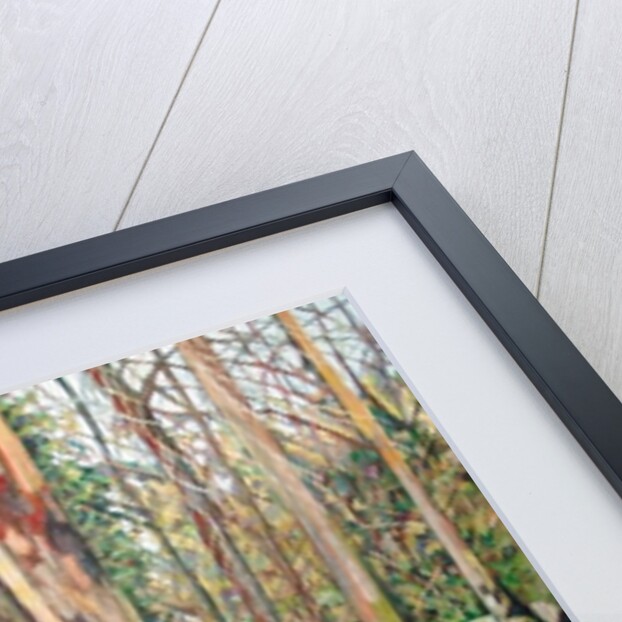 Winter Trunk, 2010 by Noel Paine