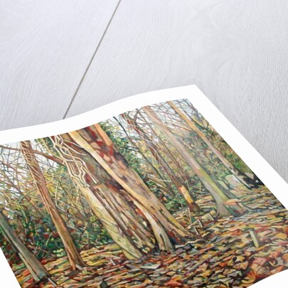 Winter Trunk, 2010 by Noel Paine