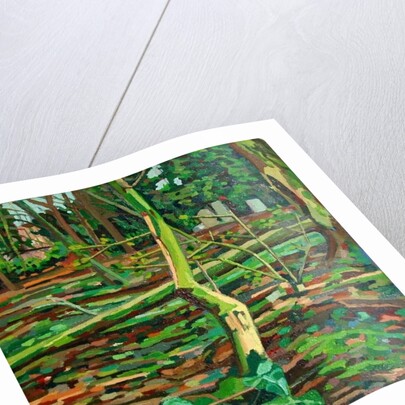 Study for Bow Trench by Noel Paine