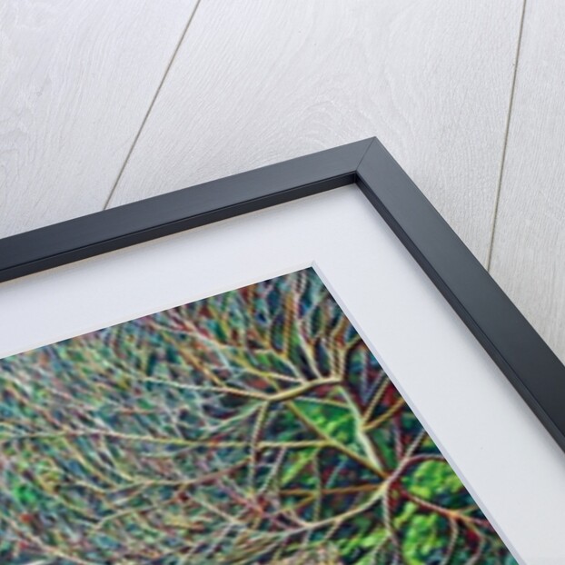 Anticoli Winter, by Noel Paine