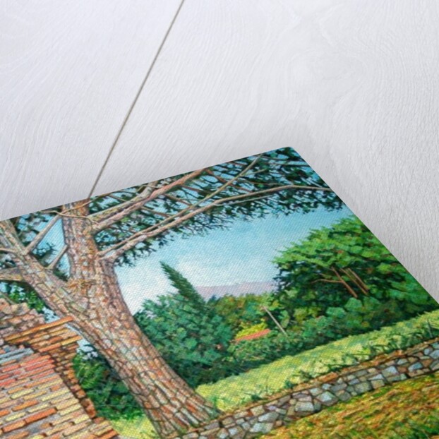 Appia Antica, View, 2008 by Noel Paine