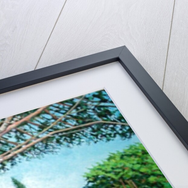 Appia Antica, View, 2008 by Noel Paine