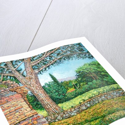 Appia Antica, View, 2008 by Noel Paine