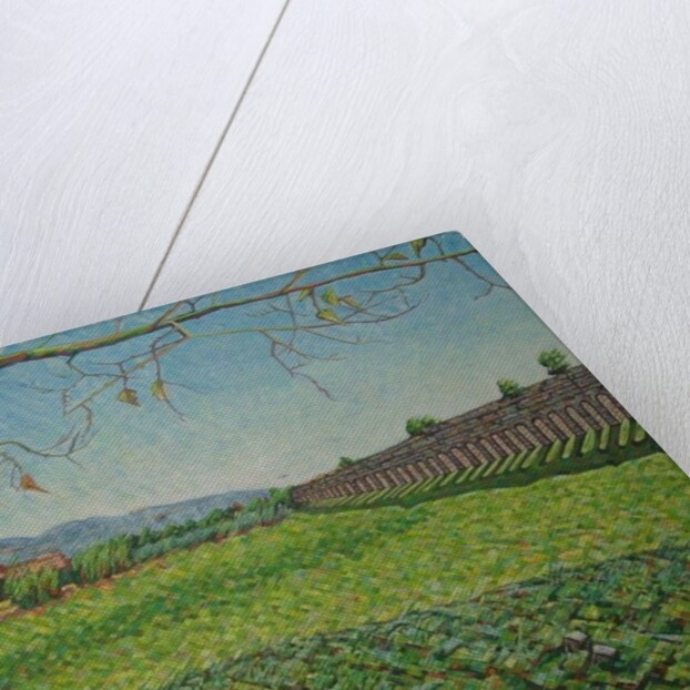 Aqueduct Park, 2011 by Noel Paine