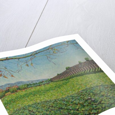 Aqueduct Park, 2011 by Noel Paine