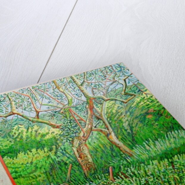 The Orange Edge of the Barn, 2011 by Noel Paine