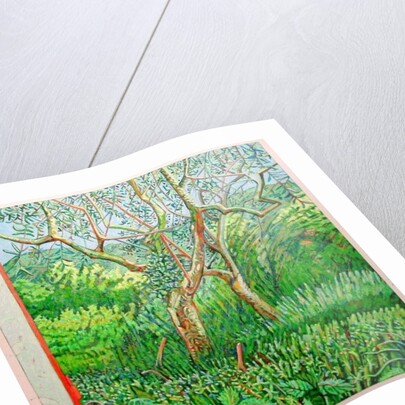 The Orange Edge of the Barn, 2011 by Noel Paine