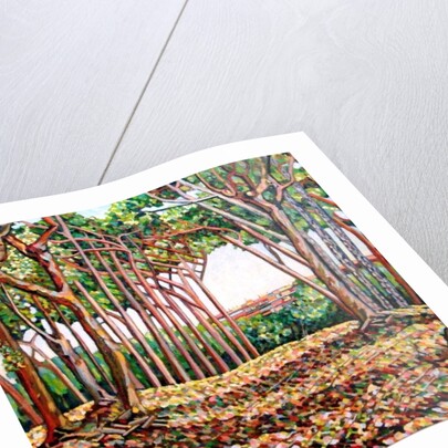 Line of Trees, 2009 by Noel Paine