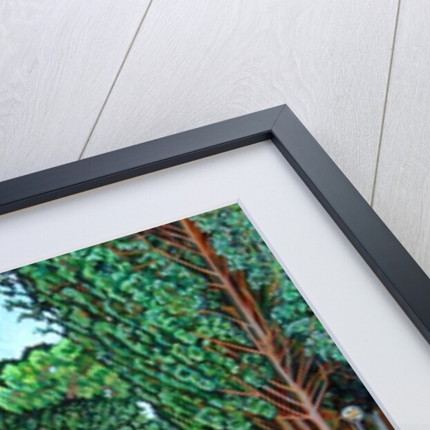 The Appia Antica by Noel Paine