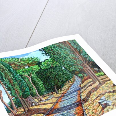 The Appia Antica by Noel Paine