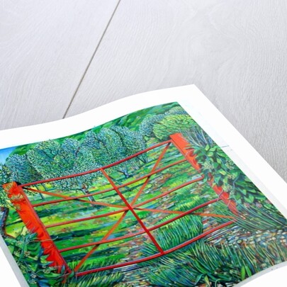 Red Gate, Summer, 2010 by Noel Paine