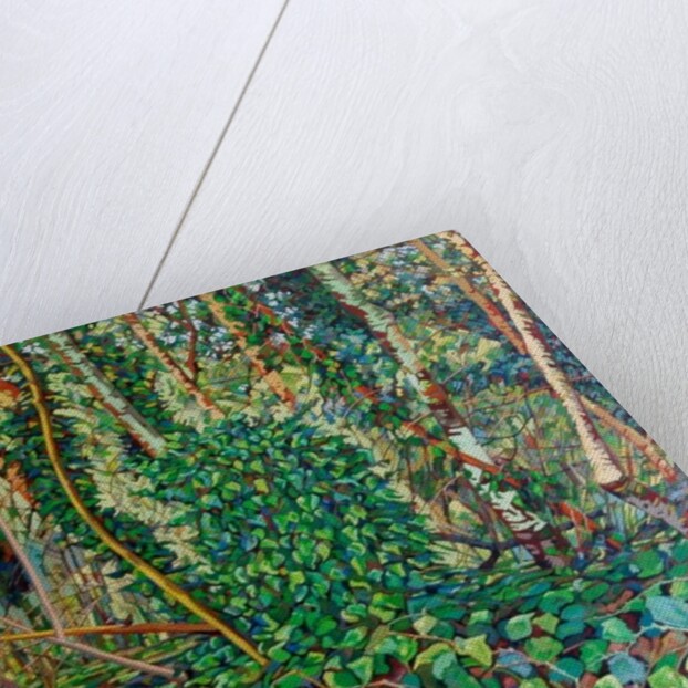 The Wrens Tomb, by Noel Paine