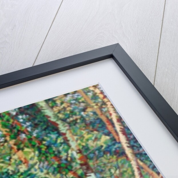 The Wrens Tomb, by Noel Paine