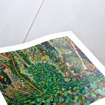 The Wrens Tomb, by Noel Paine