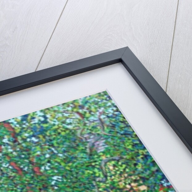 The Longest Day by Noel Paine