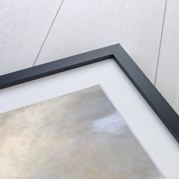 Linen Mill at Chapelizod, near Lucan, Dublin, Ireland, c.1840 by English School