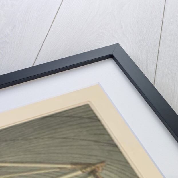 7: Poulaho, King of the Friendly Islands, drinking Kava by John Webber