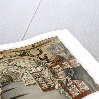 Perspective view of Sir Ashton Lever's Museum March 30, 1785 by Sarah Stone