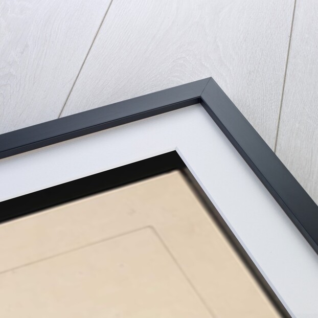 Page 1. Anomalous Hornbill: Signed l.c. Sarah Smith. Now known as a Channel-billed Cuckoo, c.1789-90 by Sarah Stone