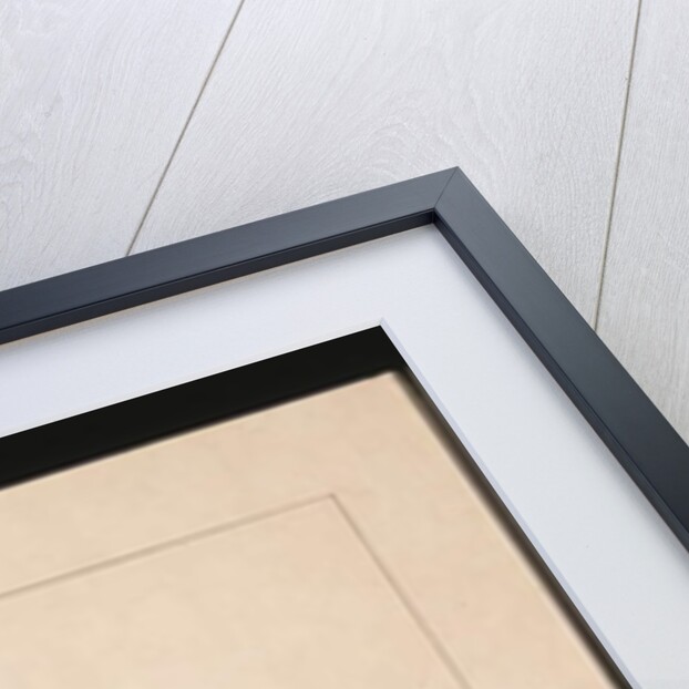 Page 7. New Holland Cassowary. Now known as an Emu, c.1789-90 by Sarah Stone