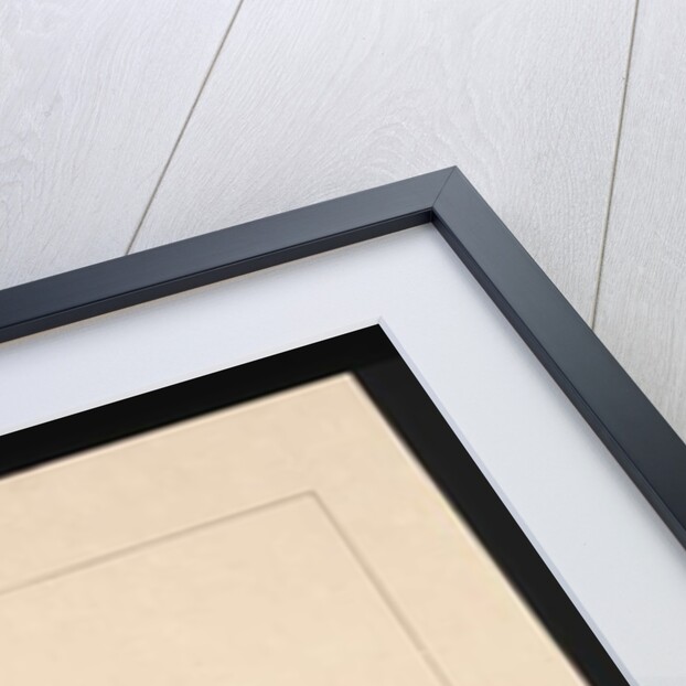 Page 14. Yellowed-eared Flycatcher. Now known as a Yellow-faced Honeyeater, c.1789-90 by Sarah Stone