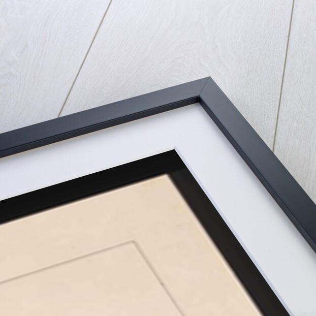 Page 18. Small Paraquet. Now known as a Little Lorikeet, c.1789-90 by Sarah Stone