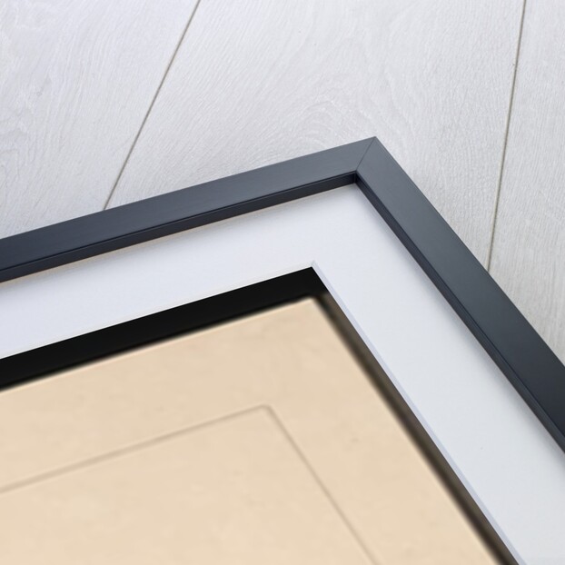 Page 19. New Holland Creeper. Now known as a New Holland honeyeater, c.1789-90 by Sarah Stone