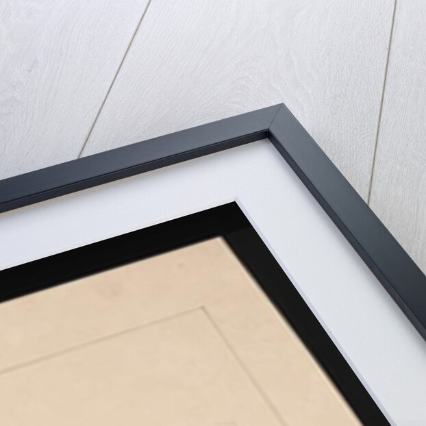 Page 22. A Kangaroo. Now known as a Kangaroo. Possibly by Charles Catton Junr, c.1789-90 by Sarah Stone