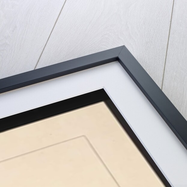 Page 24. Fuliginous Peteril. Now known as a White-chinned Petrel, c.1789-90 by Sarah Stone