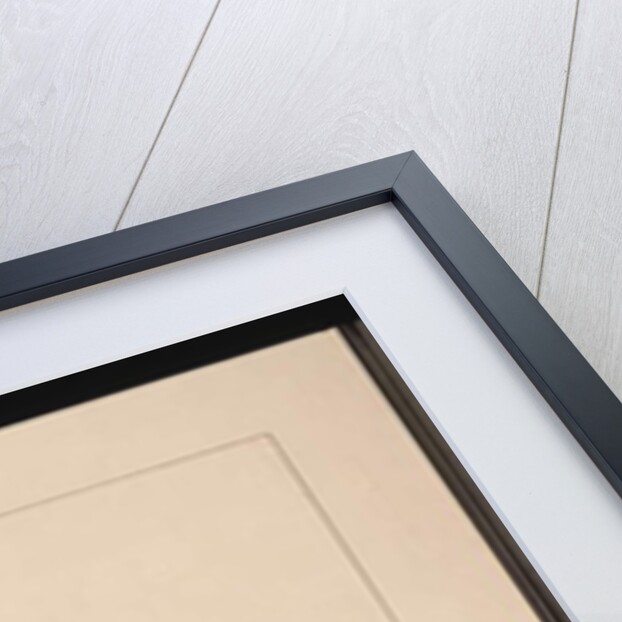 Page 25. A Kangaroo. Now known as a Kangaroo. Appears to be a Sarah Stone copy of a Charles Catton Junr. plate, c.1789-90 by Sarah Stone