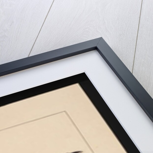 Page 26. Wattled Bee Eater female. Now known as a Little Wattle bird, c.1789-90 by Sarah Stone