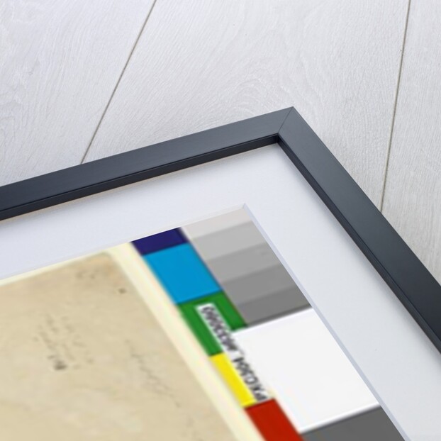 Page 80. Sterculia diversifolia, c.1803-06 by John William Lewin