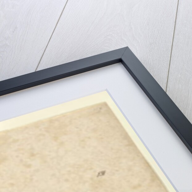 Page 131. Lobelia purpurascens, c.1803-06 by John William Lewin