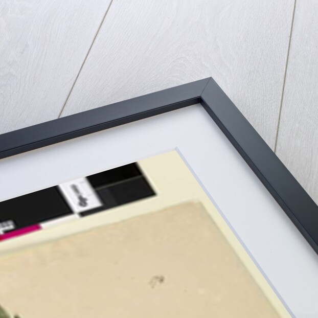 Page 174. Crowea saligna, c.1803-06 by John William Lewin