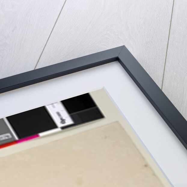 Page 181. Hibbertia volubilis/Hibbertia scandens, c.1803-06 by John William Lewin