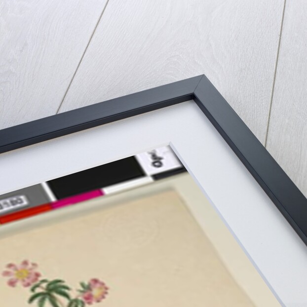 Page 186. Bauera rubioides, c.1803-06 by John William Lewin