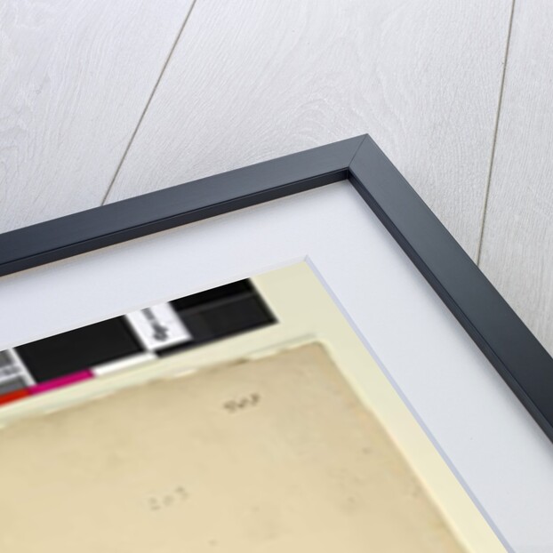 Page 203. Anagallis arvenis, c.1803-06 by John William Lewin