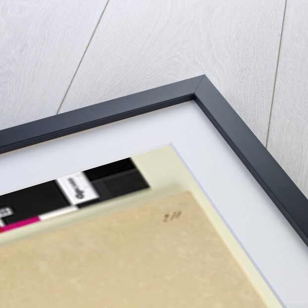 Page 211. Solanum laciniatum, c.1803-06 by John William Lewin