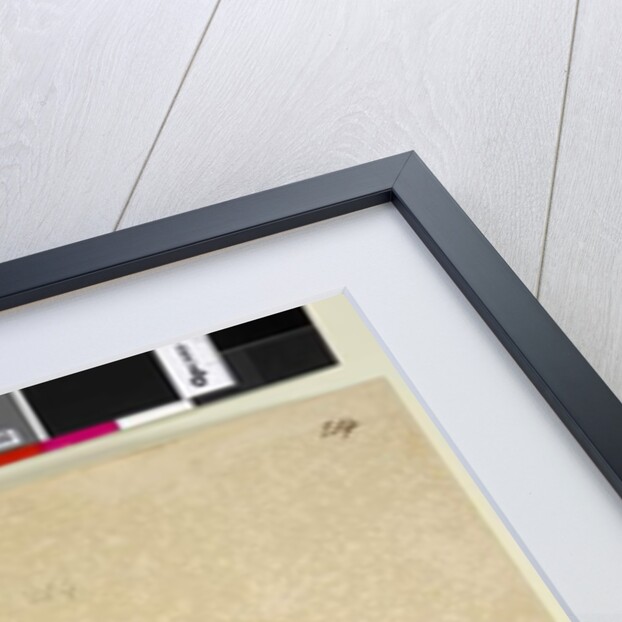 Page 214. Hibbertia diffusa, c.1803-06 by John William Lewin