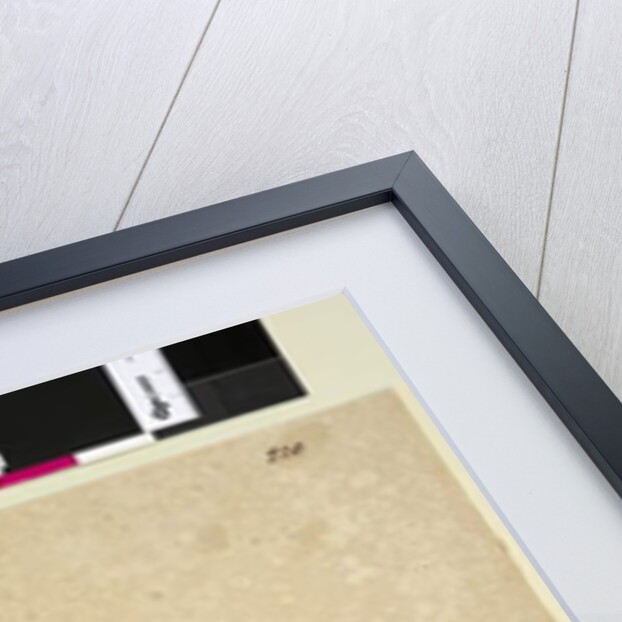 Page 220. Brachycome multifida, c.1803-06 by John William Lewin