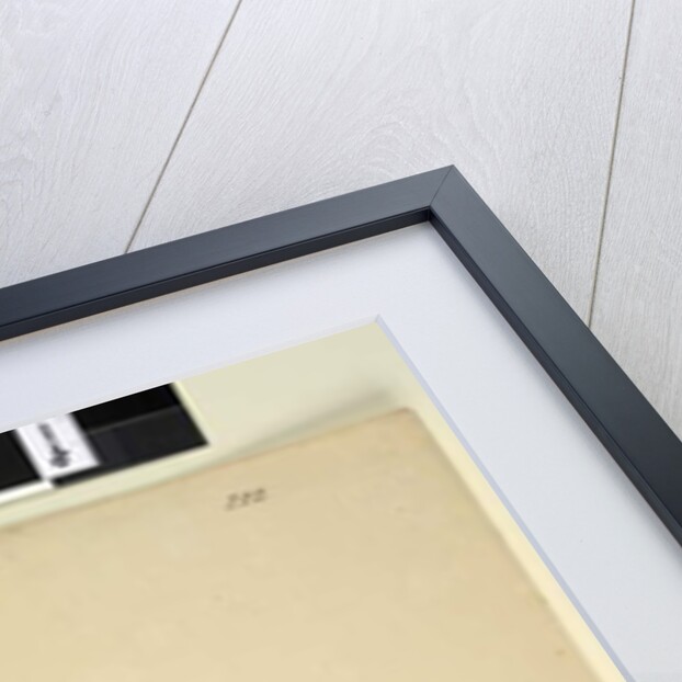 Page 222. Baeckea densifolia, c.1803-06 by John William Lewin