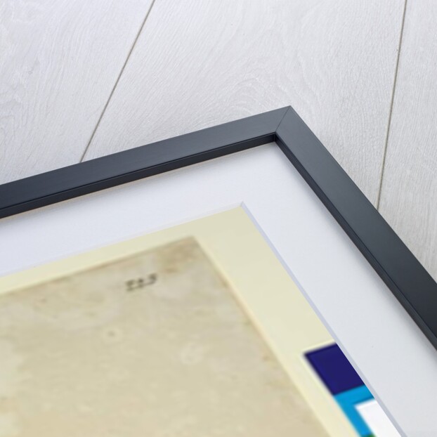 Page 223. Caleana major, c.1803-06 by John William Lewin