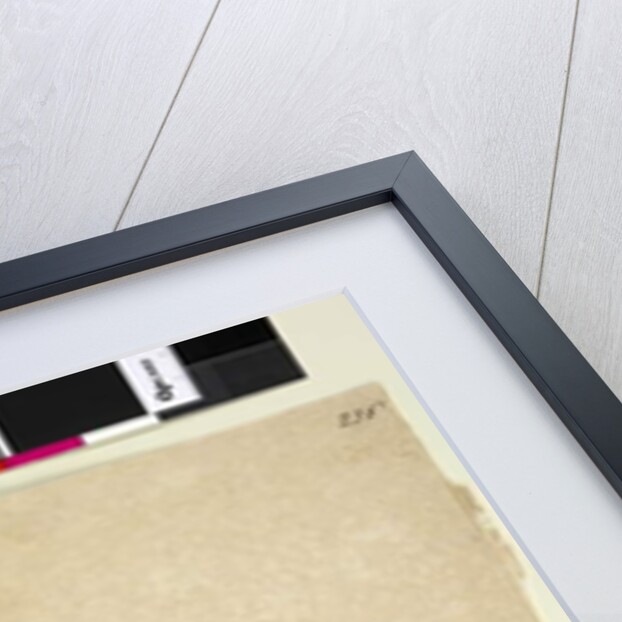 Page 236. Sprengelia, c.1803-06 by John William Lewin