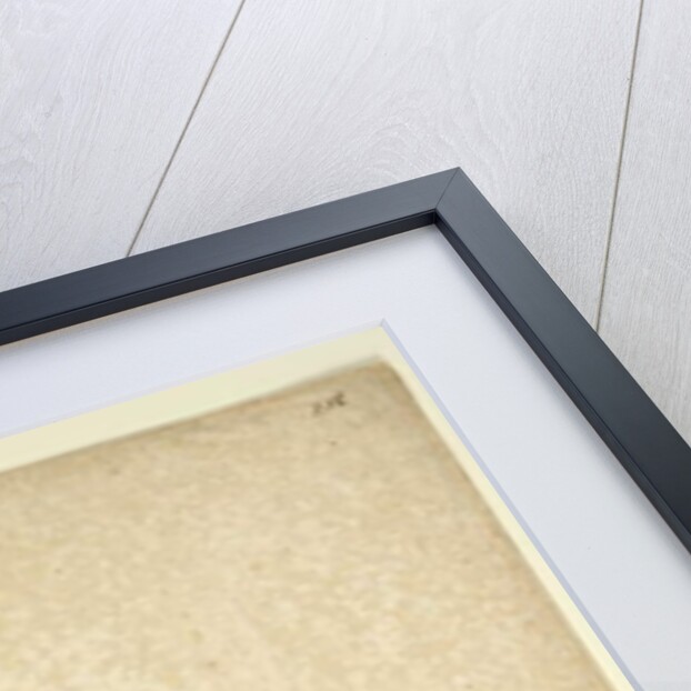 Page 256. Clematis glycinoides, c.1803-06 by John William Lewin