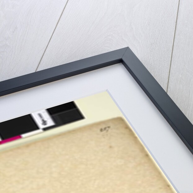 Page 257. Galium sp., c.1803-06 by John William Lewin