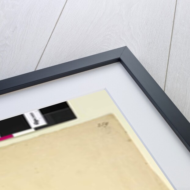 Page 259. Trachymene, c.1803-06 by John William Lewin