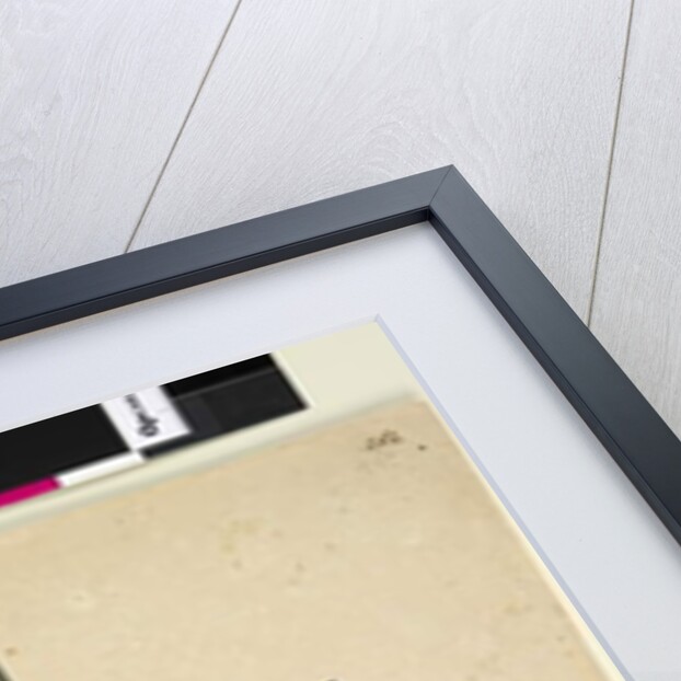 Page 262. Signed: I.W.L. 30 Nov. 1805, 1805 by John William Lewin