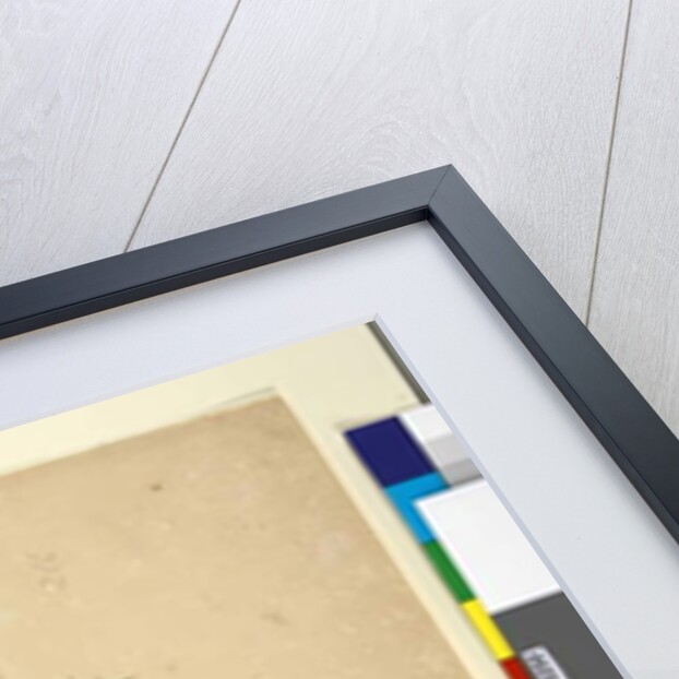 Page 265. Glossodia minor; 266. Ricinocarpus, c.1803-06 by John William Lewin