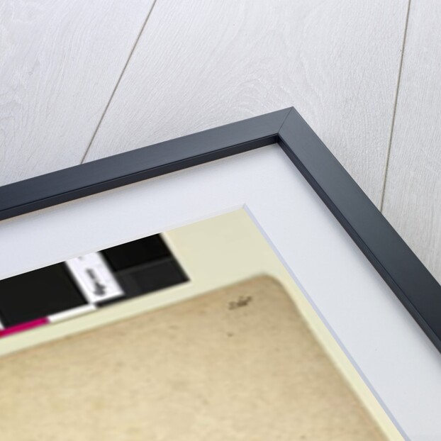 Page 268. Helichrysum diosmifolium/Ozothamnus diosmifolius, c.1803-06 by John William Lewin